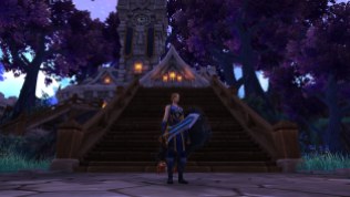 Winter wolf's Protection Paladin transmog for Dina